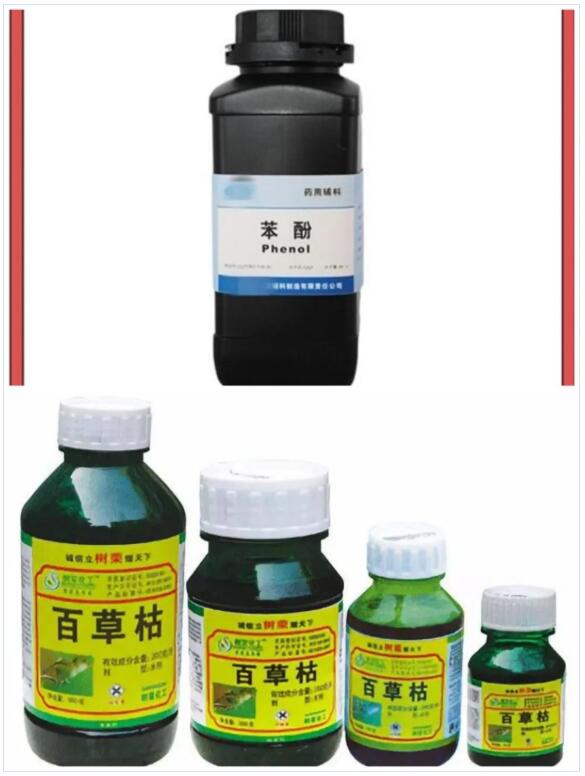 <a href='http://m.xsjon.cn' title='國際貨運代理' >國際貨運代理</a>